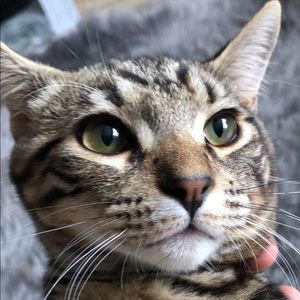 Meet your Posher, Kassandra